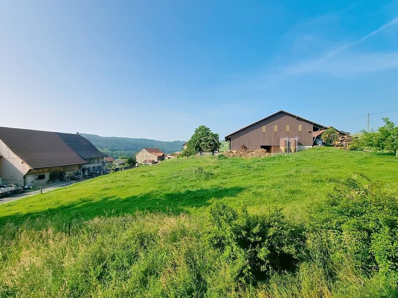 BRENLES, Ferme 5.5 p. de 1851 à rénover avec terrain agricole de 6000m2 potentiel. (11)