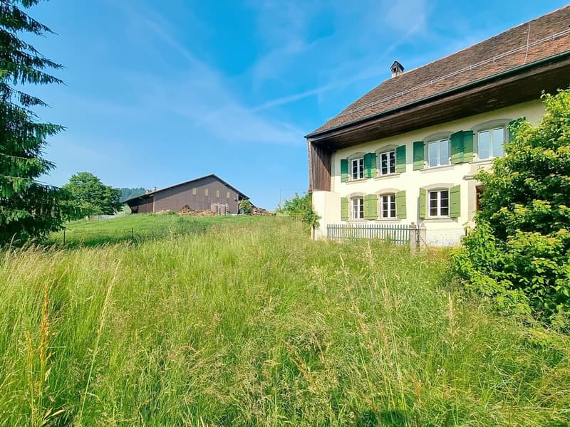 BRENLES, Ferme 5.5 p. de 1851 à rénover avec terrain agricole de 6000m2 potentiel. (2)