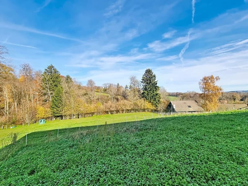 CORCELLES-LE-JORAT, villa mitoyenne neuve de 7.5 pièces (1)