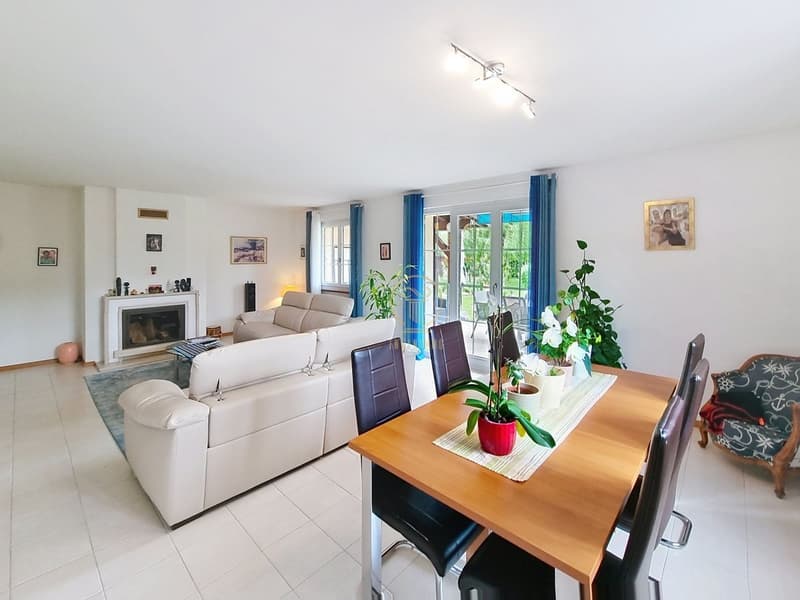 RENENS - Villa mitoyenne de 5.5 p. avec grand jardin. Pas inscrite dans une PPE. (3)