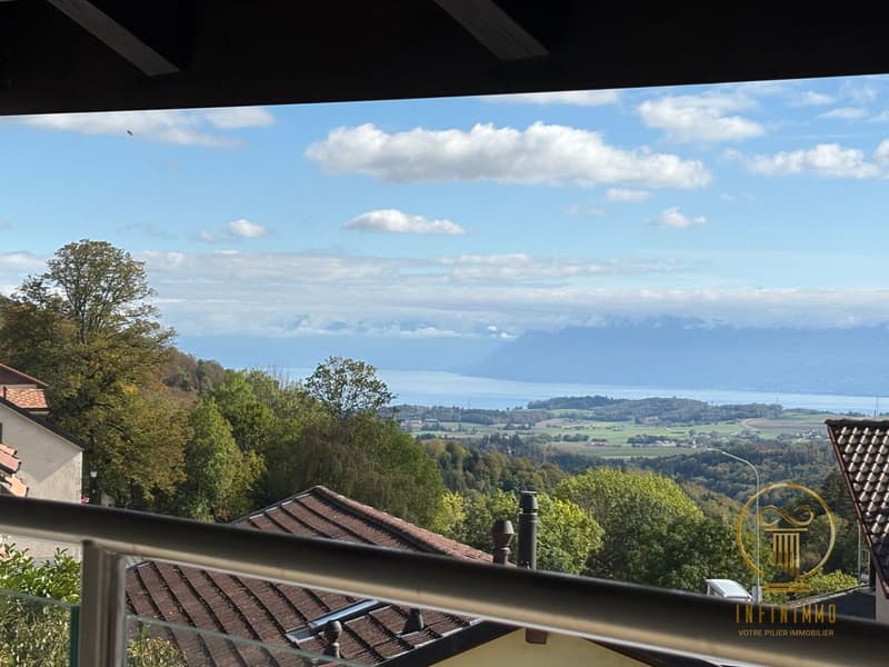 Saint-George - Maison contemporaine rénovée avec goût, vue lac et cachet unique! (11)
