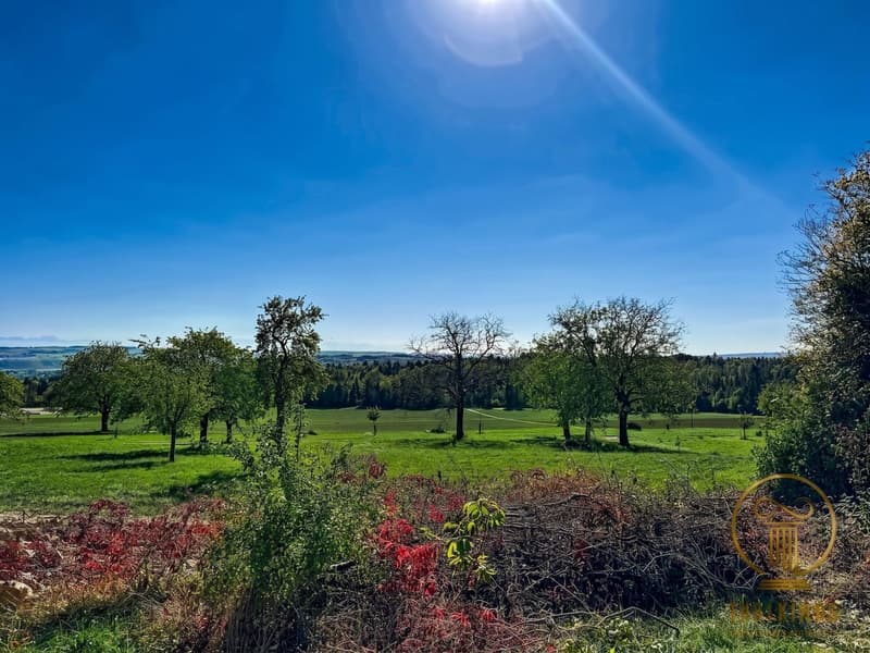 ORGES - immeuble de rendement de 6 appartements avec place-jardin et places de parc (8)