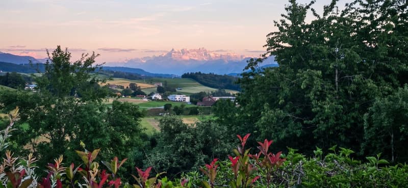 Chavannes-sur-Moudon - Magnifique villa à vendre au calme (1)
