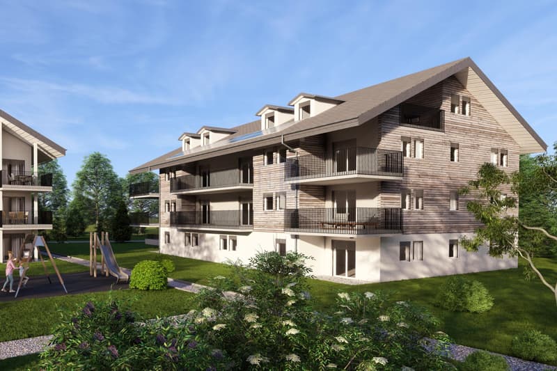 One of the last beautiful 4 ½ room apartments in style to seize! (4)