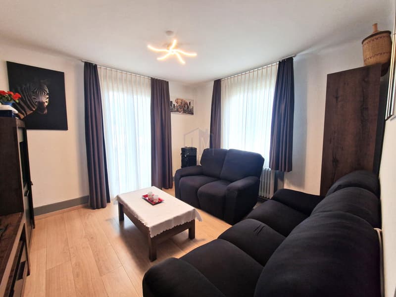 Un appartement de bon rendement, sympathique et déalement situé (5)