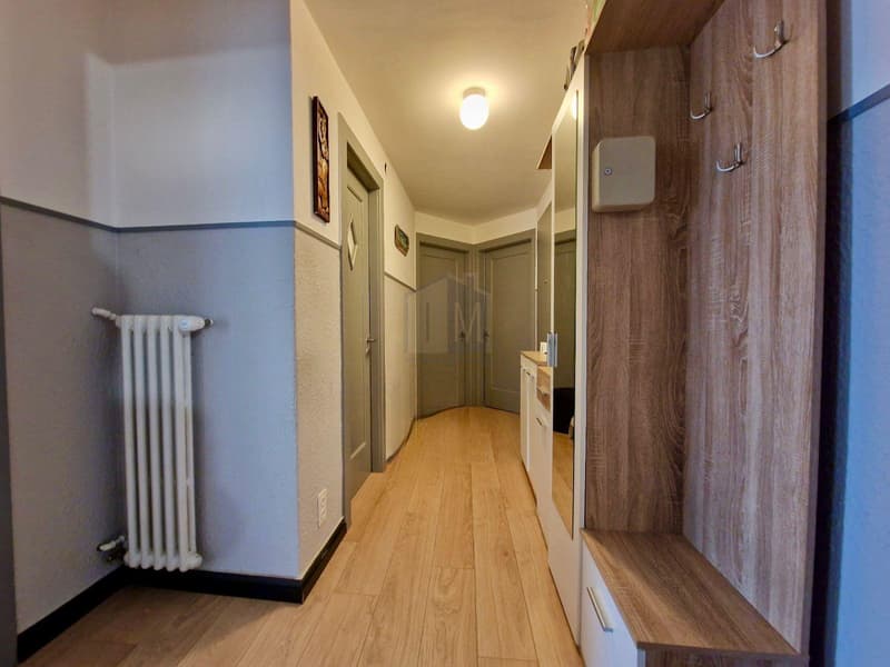 Un appartement de bon rendement, sympathique et déalement situé (9)