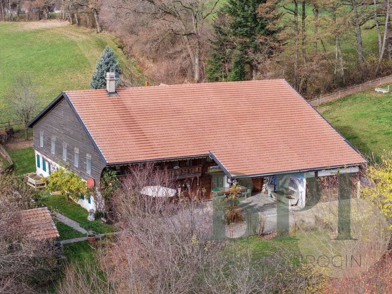 Exceptional Old Farm in Romanens in Gruyère (1)
