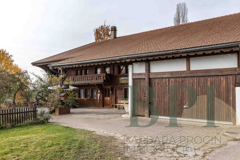 Exceptional Old Farm in Romanens in Gruyère (2)