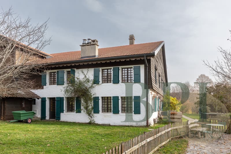 Exceptional Old Farm in Romanens in Gruyère (10)