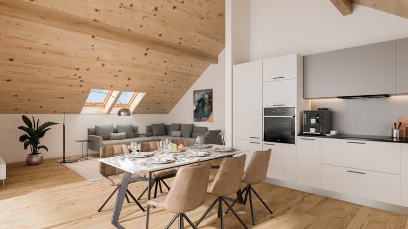 Apartments in a renovated farm (3)