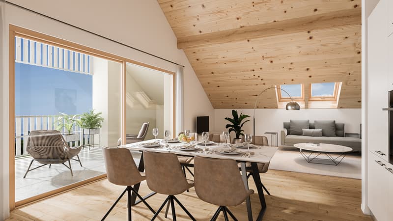 Apartments in a renovated farm (4)