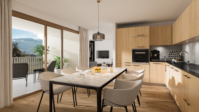 Apartments in a renovated farm (1)