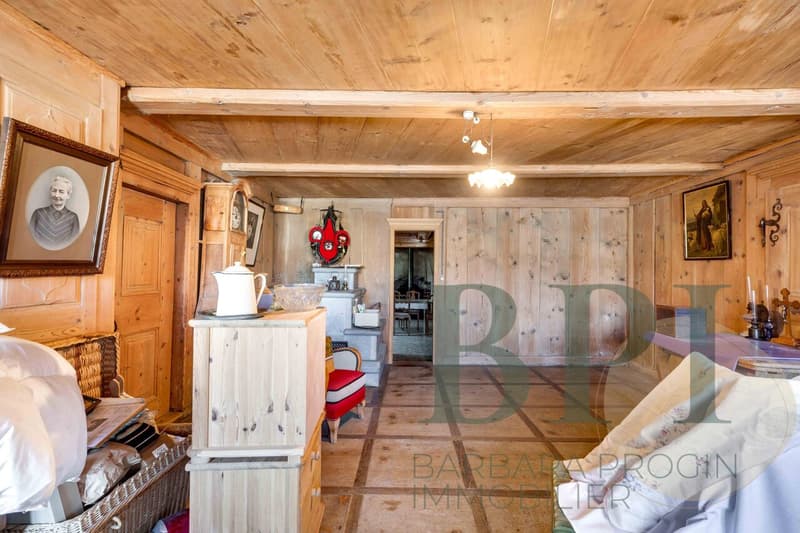 Traditional farm with development potential (11)