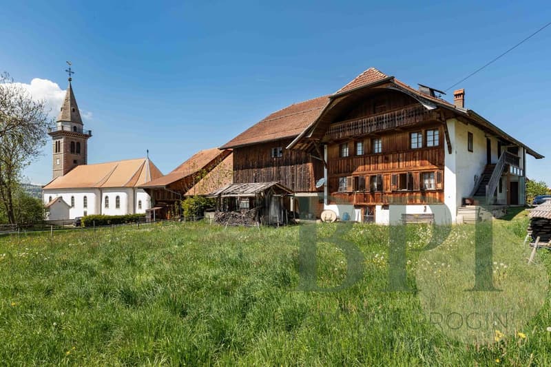 Traditional farm with development potential (1)