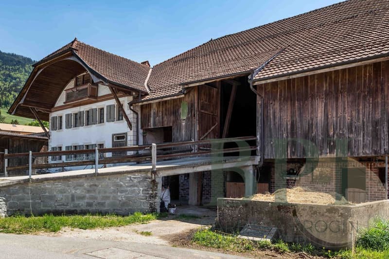 Traditional farm with development potential (4)