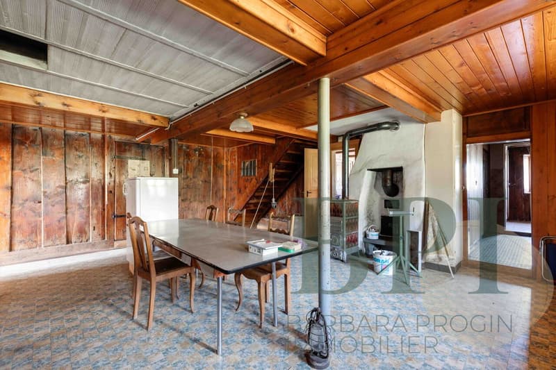 Traditional farm with development potential (8)