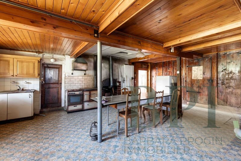 Traditional farm with development potential (9)