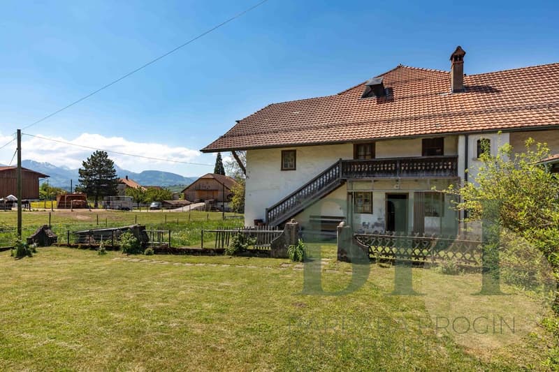 Traditional farm with development potential (2)