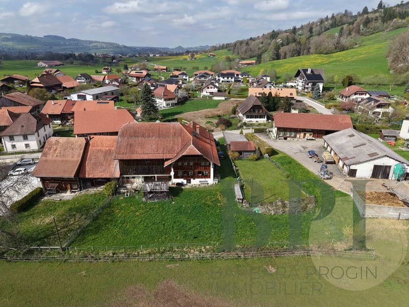 Traditional farm with development potential (5)