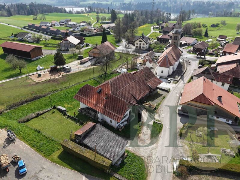 Traditional farm with development potential (7)