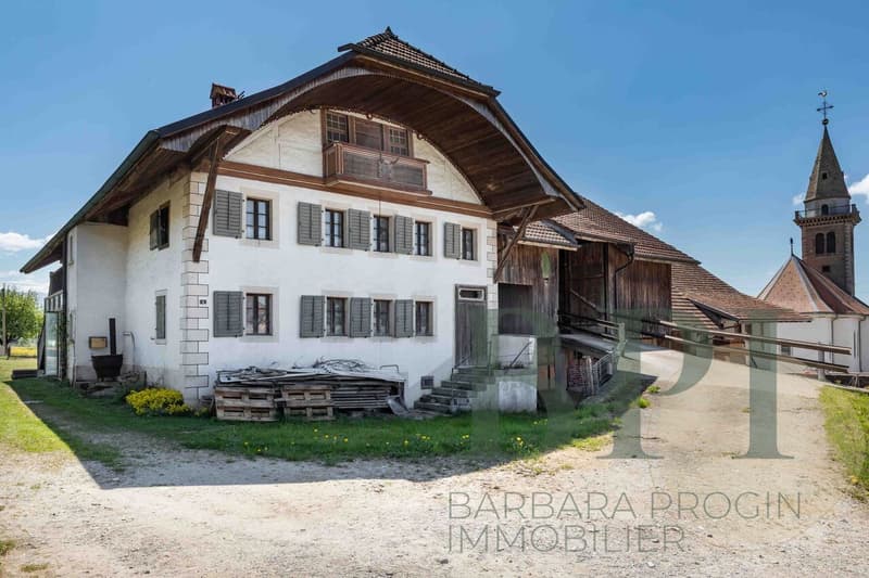 Traditional farm with development potential (3)