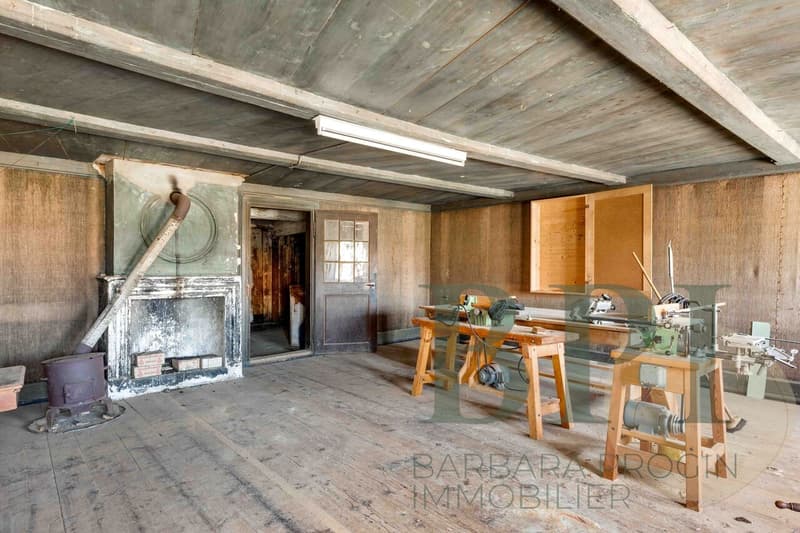 Traditional farm with development potential (13)