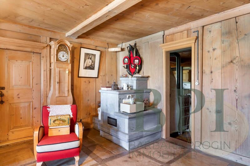 Traditional farm with development potential (12)