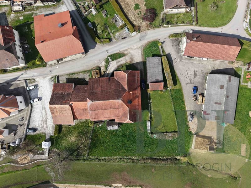 Traditional farm with development potential (6)
