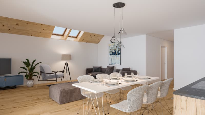 Apartments in a renovated farm (3)