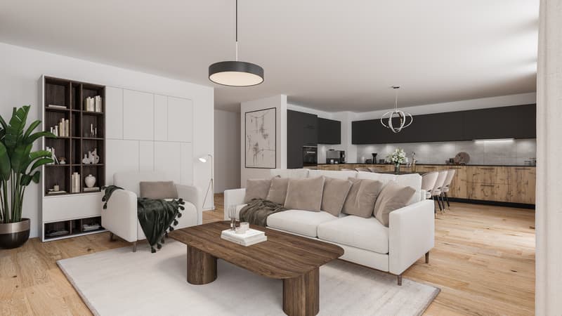 Apartments in a renovated farm (3)