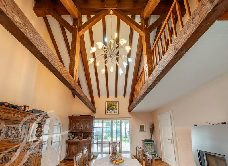 Magnificent individual villa (1)