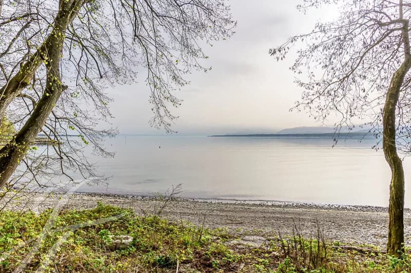 Waterfront villa with 7'585m2 plot (4)