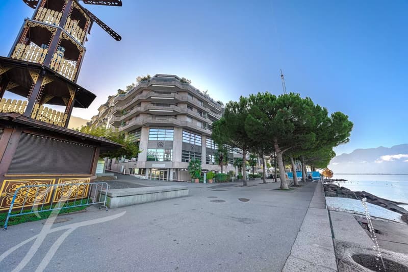 Exceptional apartment for rent ? First line of Lake Geneva (13)