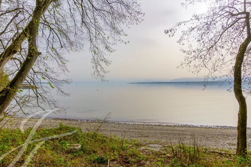 Parcelle de 7'585m2 située les pieds dans l'eau (3)