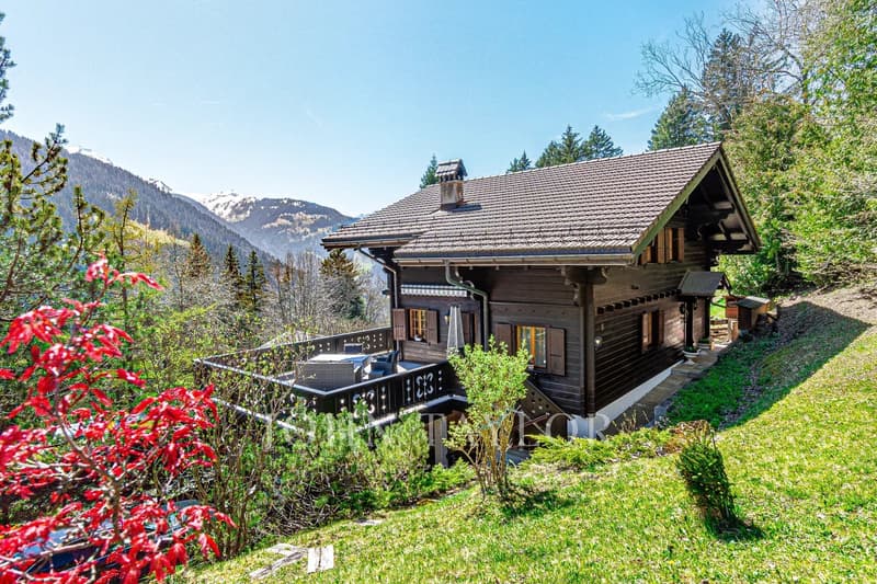 Magnifique chalet niché dans un oasis de verdure avec vue sur les montagnes (2)