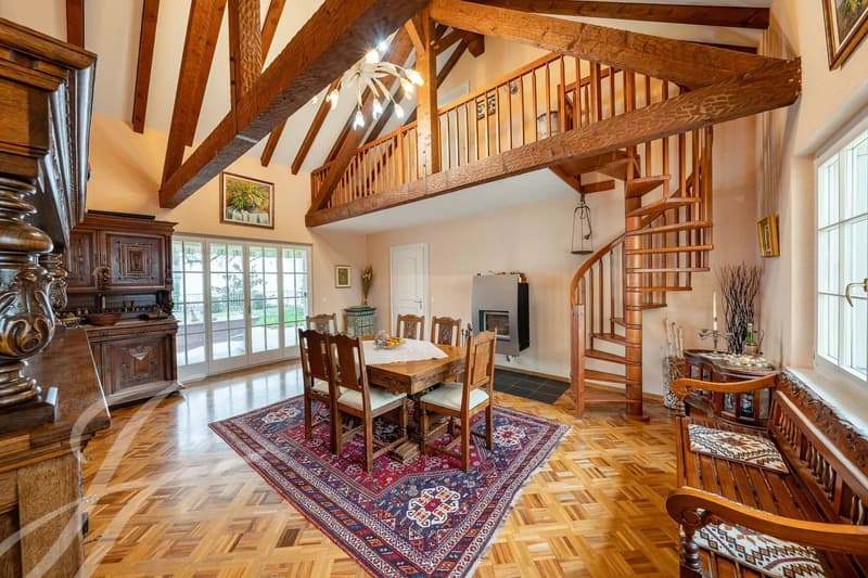 Villa individuale magnifica (6)