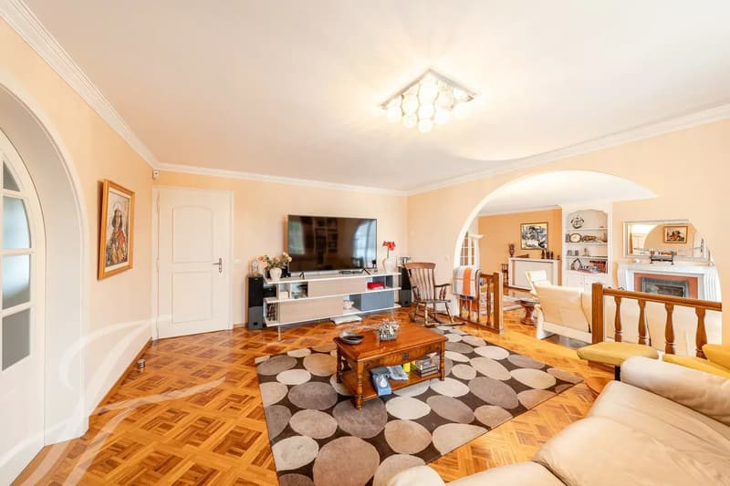 Villa individuale magnifica (4)