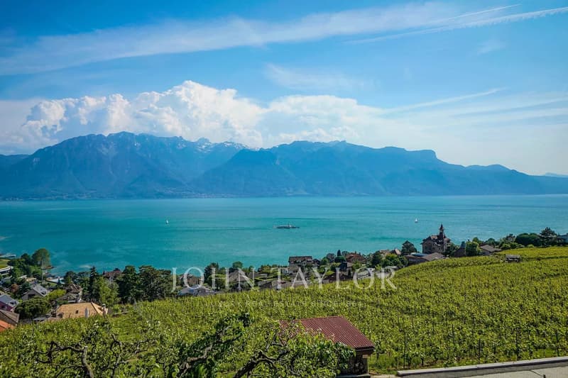 Villa lussuosa nel cuore delle vigne con vista spettacolare (13)