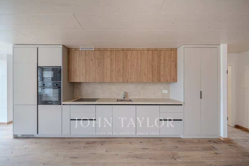 4.5 room private apartment - PPE of 5 apartments (3)