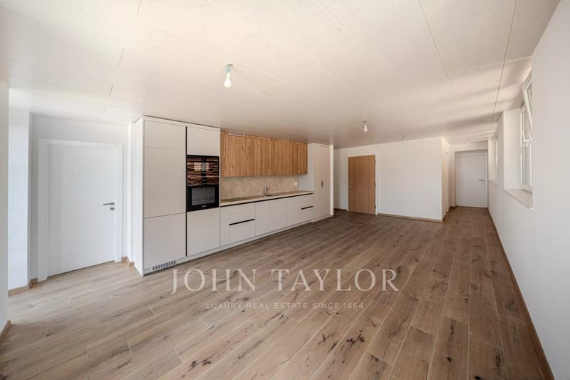 4.5 room private apartment - PPE of 5 apartments (4)