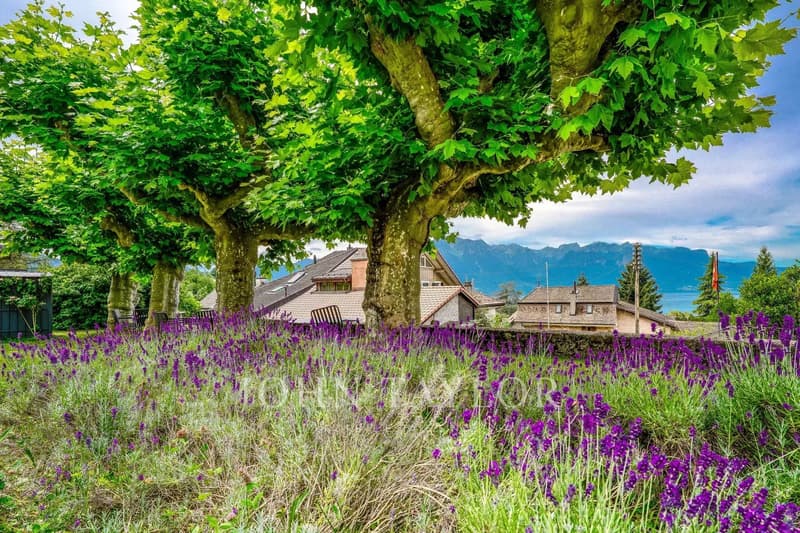Appartement de 3,5 pièces loué ? Idéal investisseur (8)