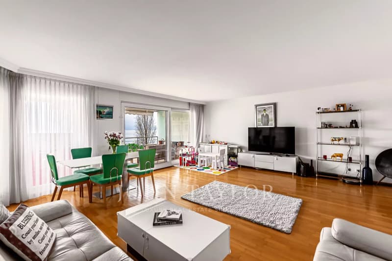 Superbe appartement en première ligne des rives du lac (3)