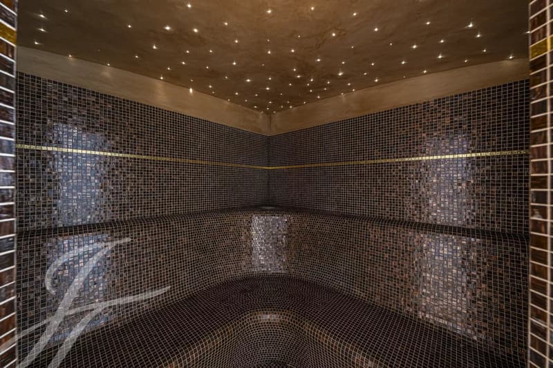 Magnifique propriété de standing avec piscine intérieure ! (6)