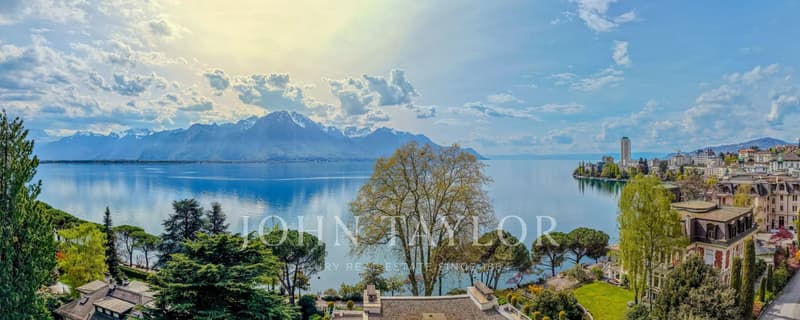 Bien rare à Montreux ? Première ligne du lac avec terrasse et panorama unique (10)