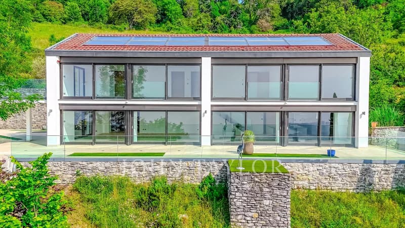 Opportunité à saisir ! Villa d'exception avec vue époustouflante sur le lac et les Dents du Midi (5)