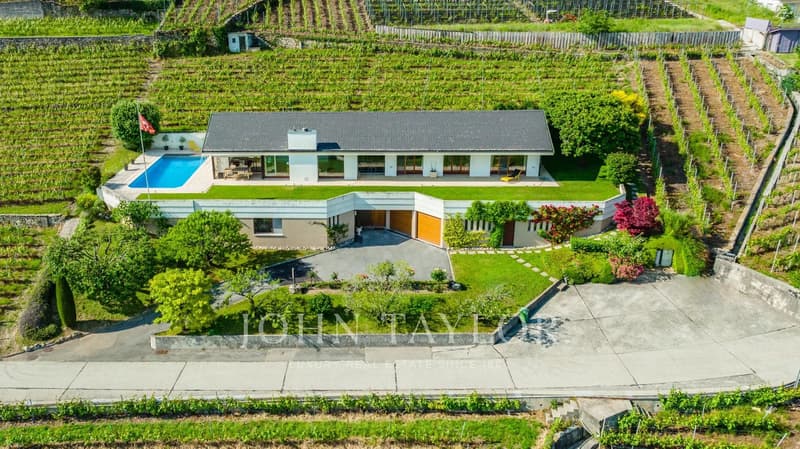 Somptueuse villa au Coeur des vignes avec vue spectaculaire (4)