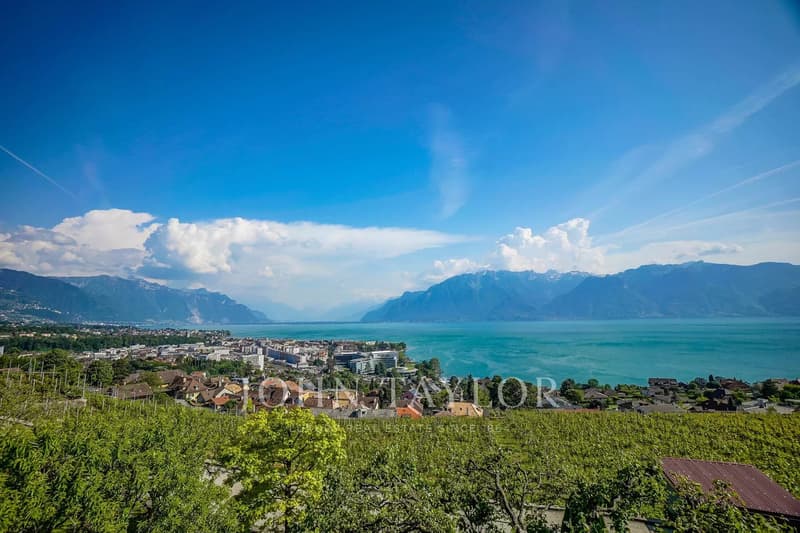 Somptueuse villa au Coeur des vignes avec vue spectaculaire (2)