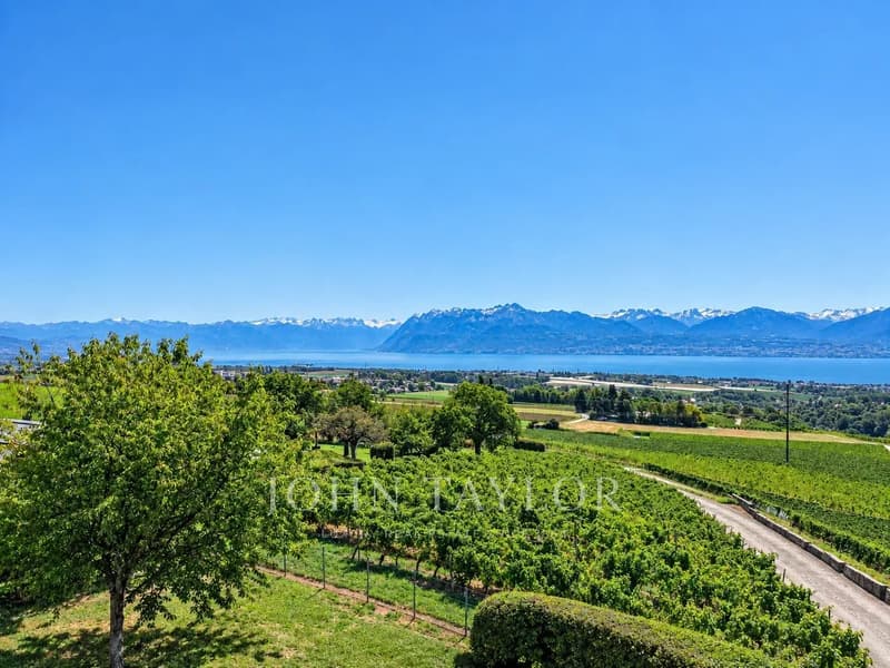 Élégante propriété vigneronne aux volumes spectaculaires (4)