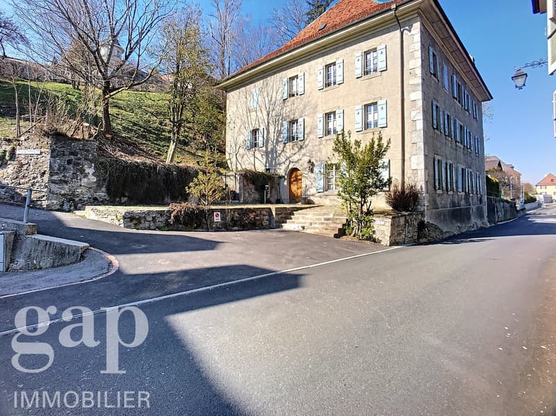 Unique! Châtel-St-Denis - 5.5 rooms - 175 m2 (1)