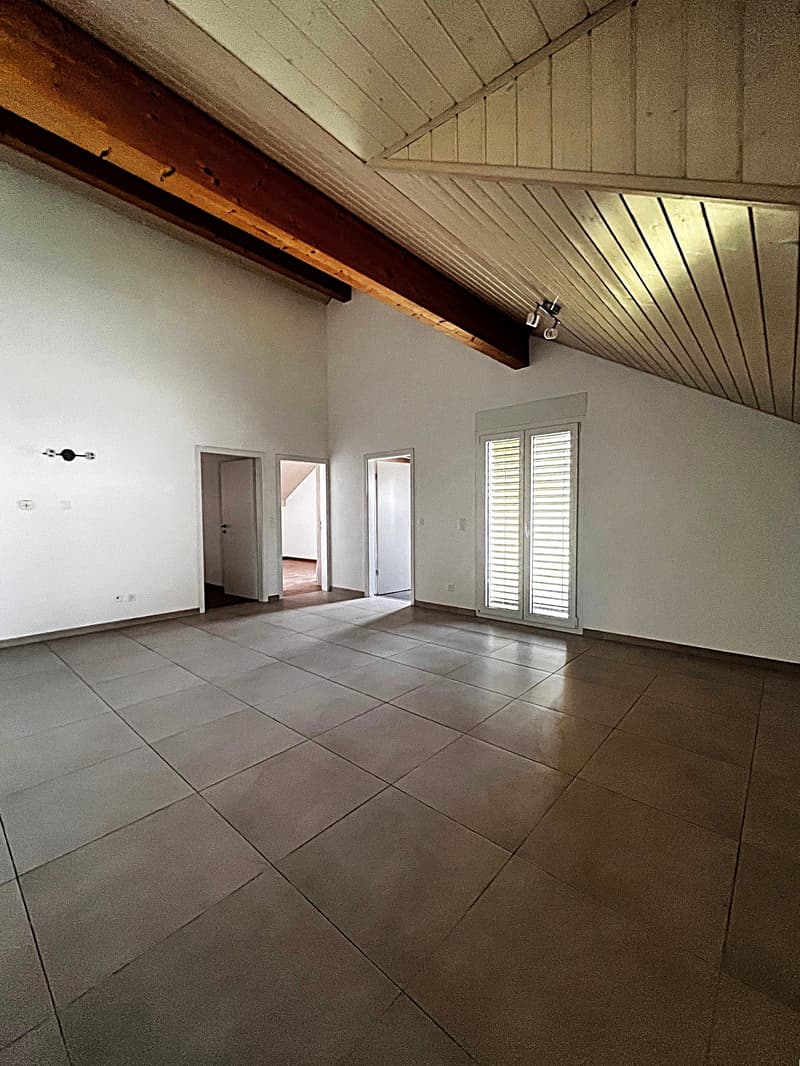 Charmant appartement de 3,5 pièces avec terrasse à Dompierre FR (3)